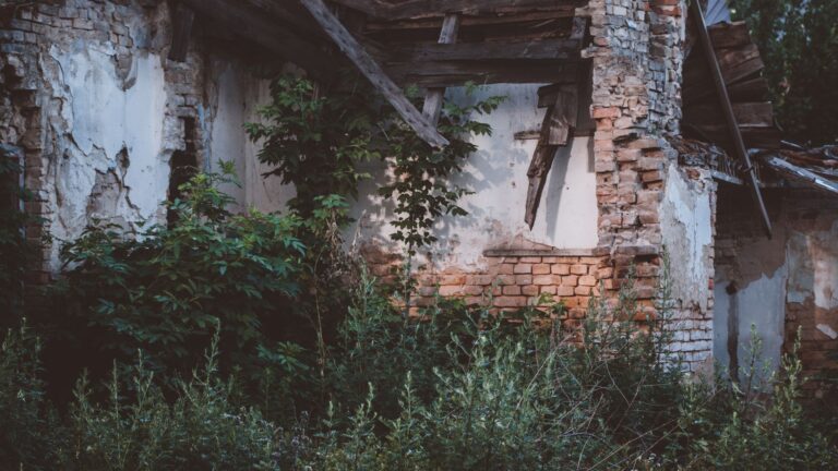 Trouver une maison abandonnée à vendre en Île-de-France pas cher ?