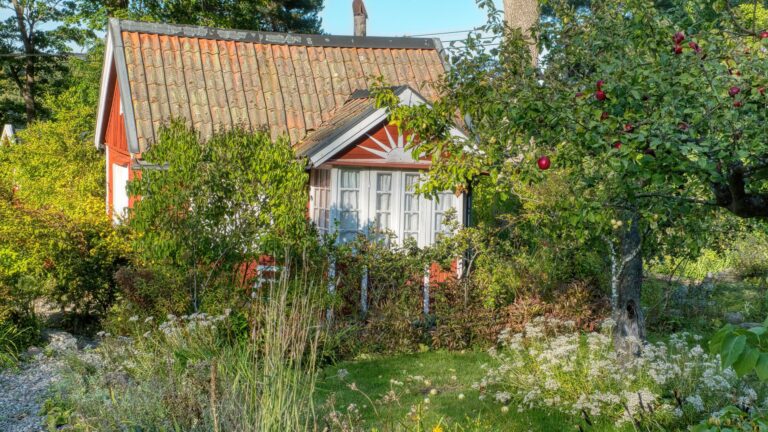 Comment trouver une petite maison avec jardin à louer par un particulier dans les Hautes-Pyrénées sans agence ?